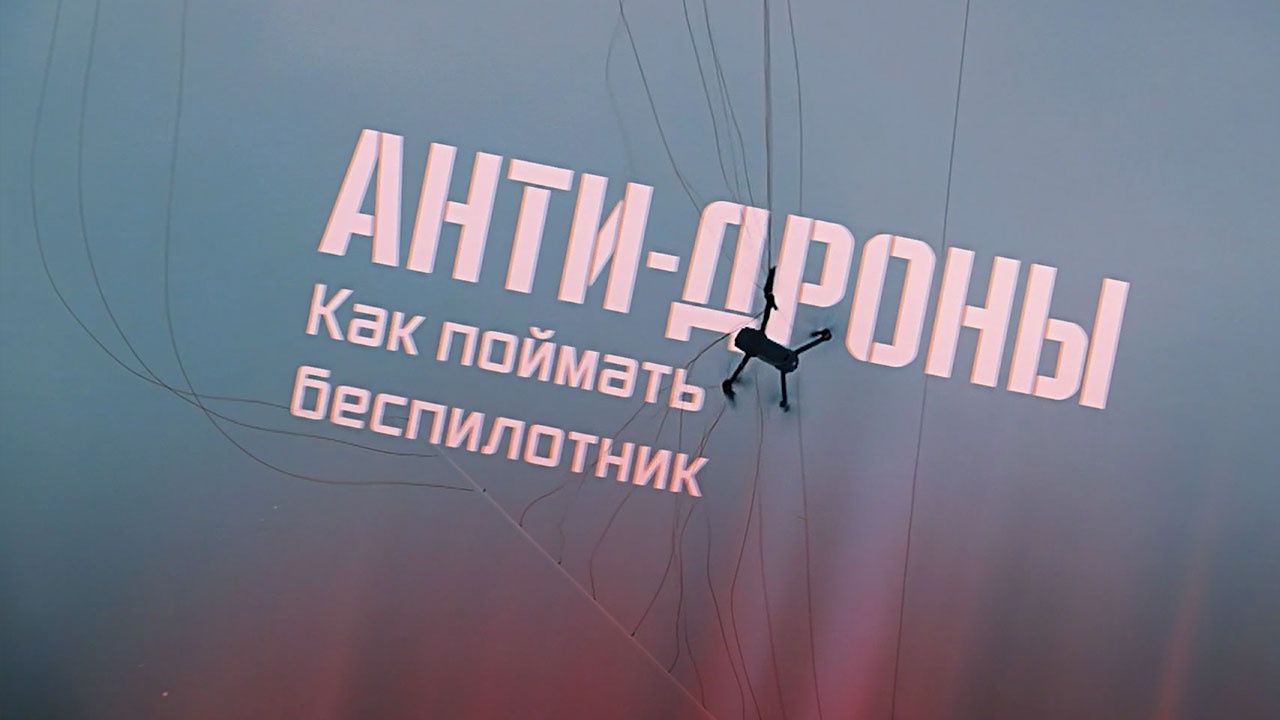 Зеленый цвет калла Зеленый цвет калла